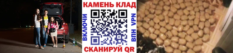 купить наркотик  Выборг  omg ссылки  ГАШ убойный 