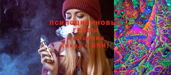 PSILOCYBIN Магадан