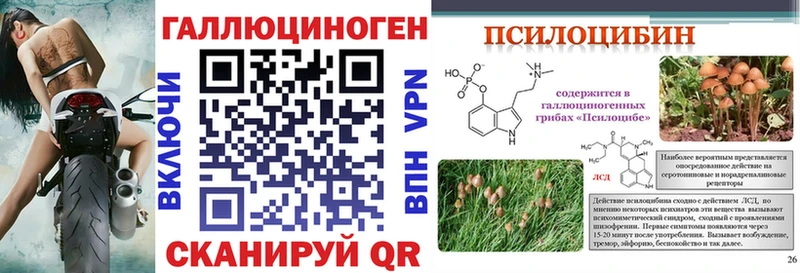 Галлюциногенные грибы Psilocybine cubensis  закладки  Выборг 