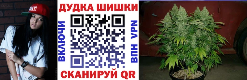 Конопля AK-47  дарнет шоп  KRAKEN как зайти  Выборг 